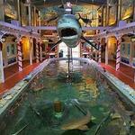 Key West Aquarium