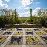 The North Carolina Arboretum