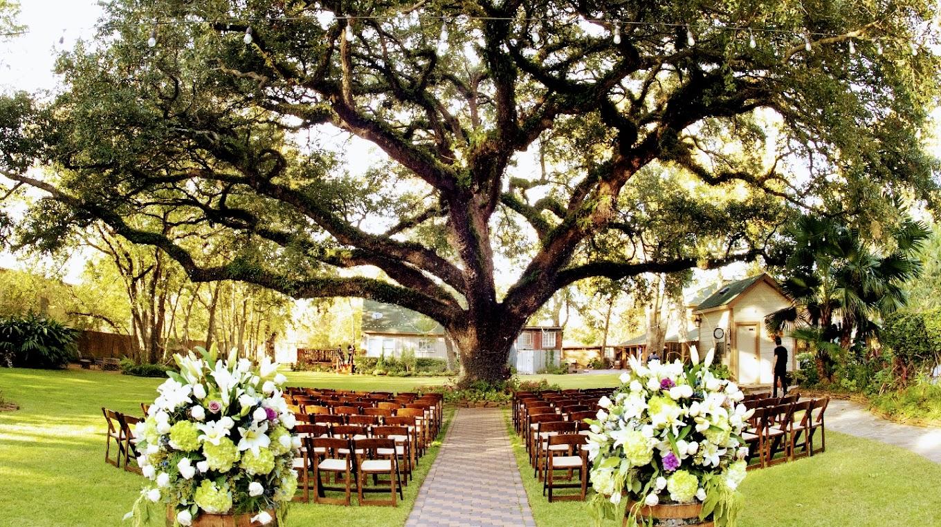 The Wedding Website of Peyton Martin and Andrea Bolognini