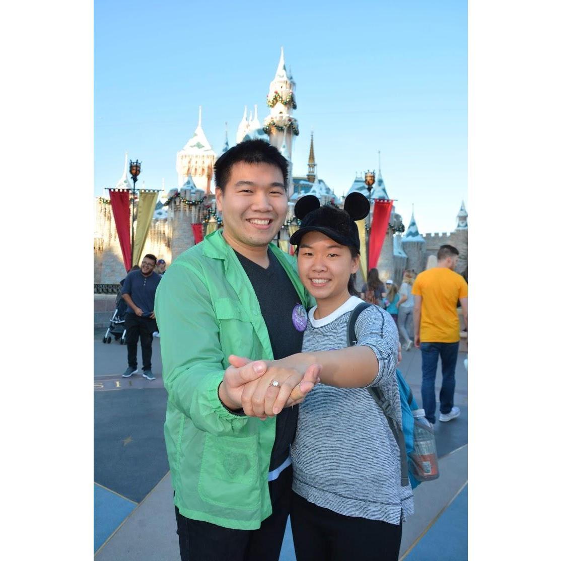No, he did not propose at Disneyland. They just went there for the photos and the pins.
