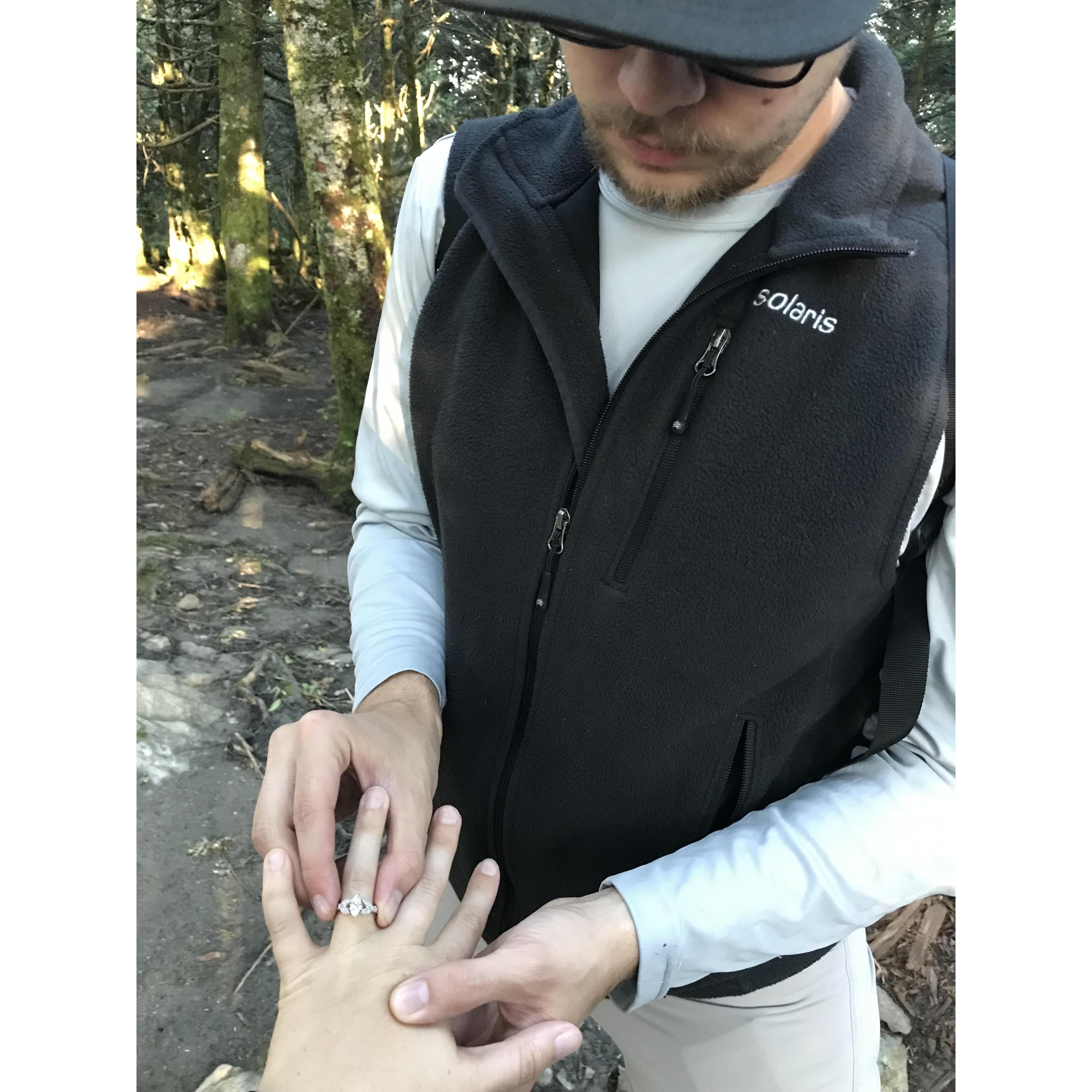 Jonathan took Hannah down the Appalachian Trial, and found the perfect spot to ask for her hand in marriage.