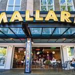 Mallard Ice Cream