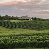 CeNita Vineyards, Winery & Tasting Room
