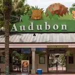 Audubon Zoo