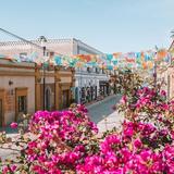 Todos Santos