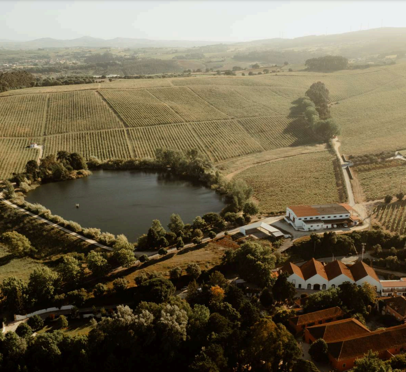 The Wedding Website of Kevin Calamari and Nicolette Payne