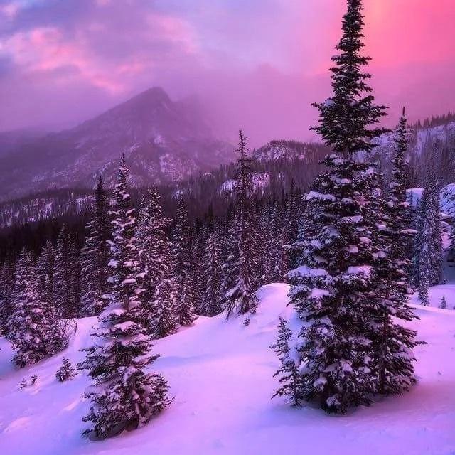 Winter Wonderland