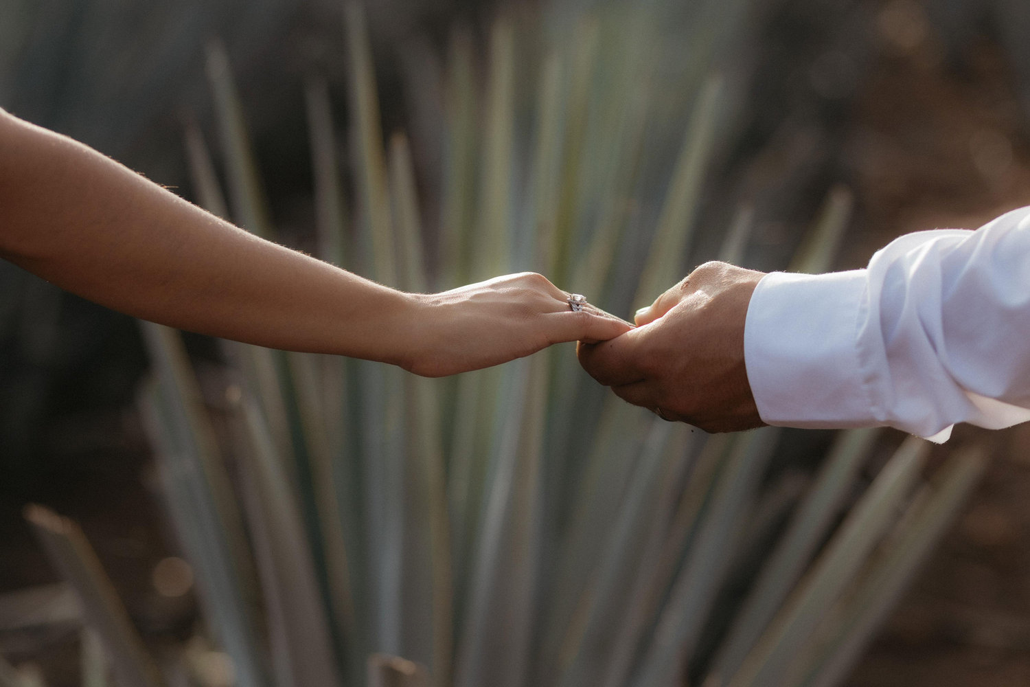 The Wedding Website of Daniel Quinones and Melissa Vela