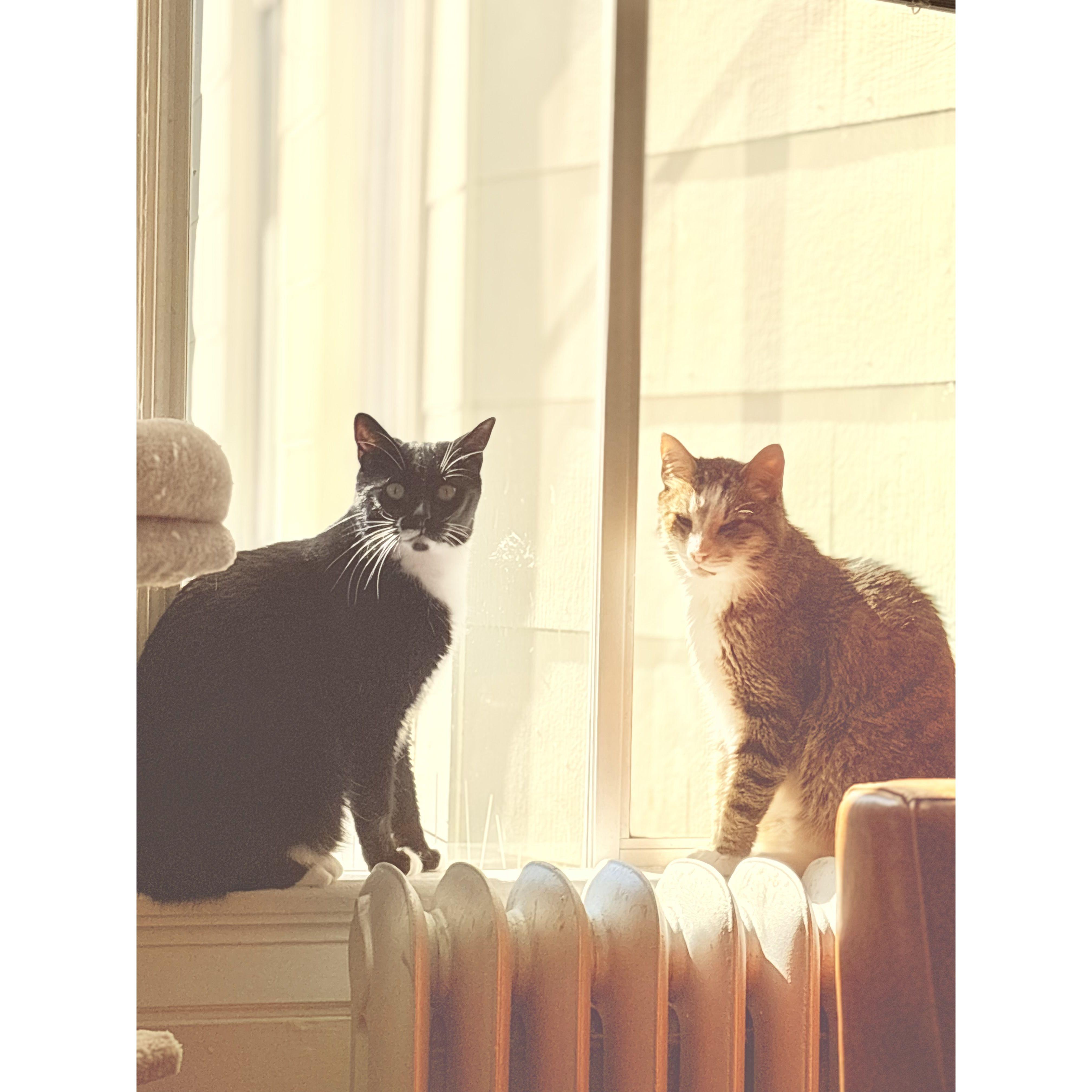 Brothers.