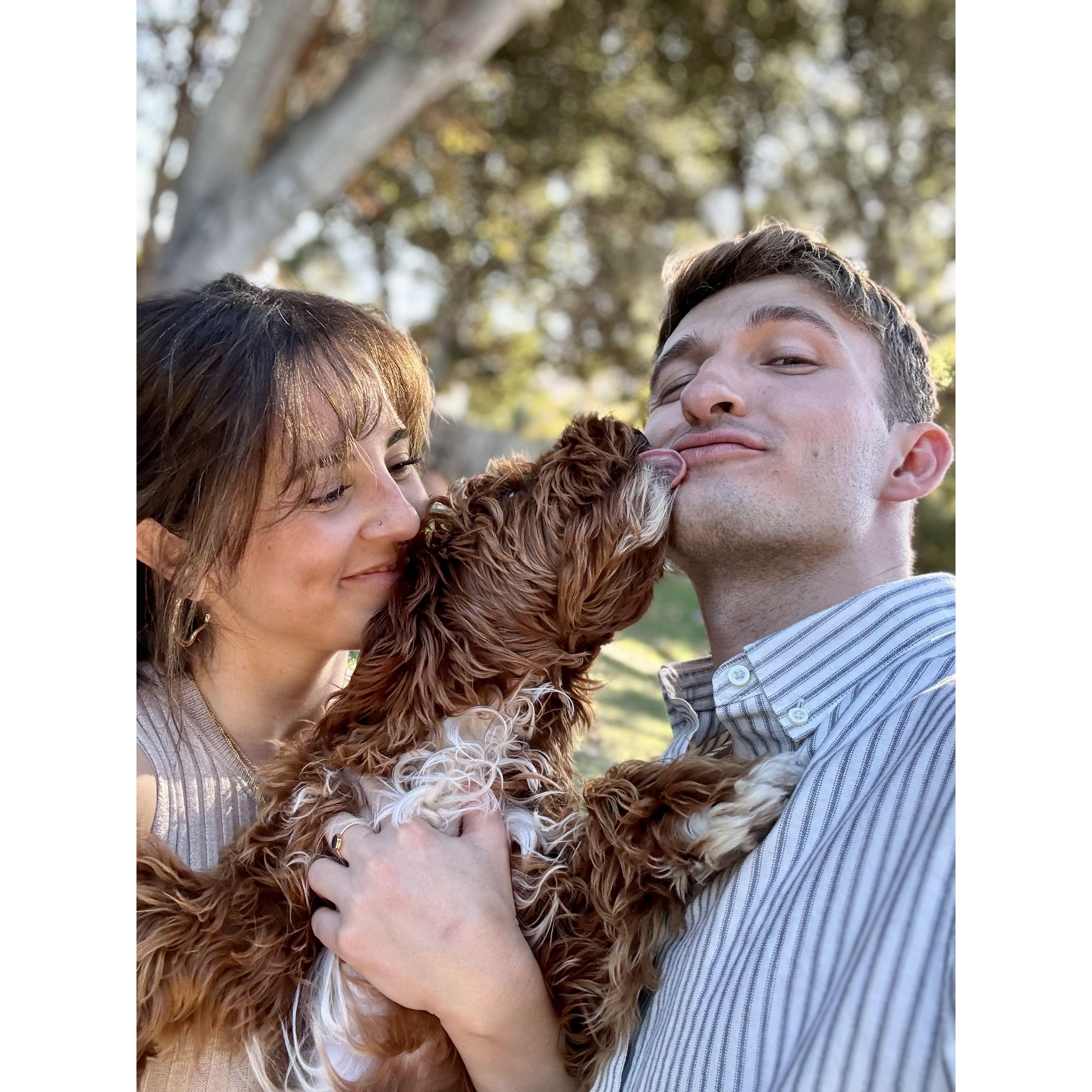 Thanksgiving with Mabel