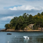 Brown's Island
