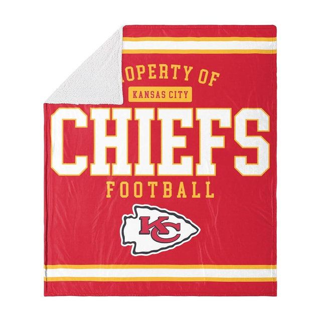 FOCO NFL Unisex-Adult NFL Plush Throw