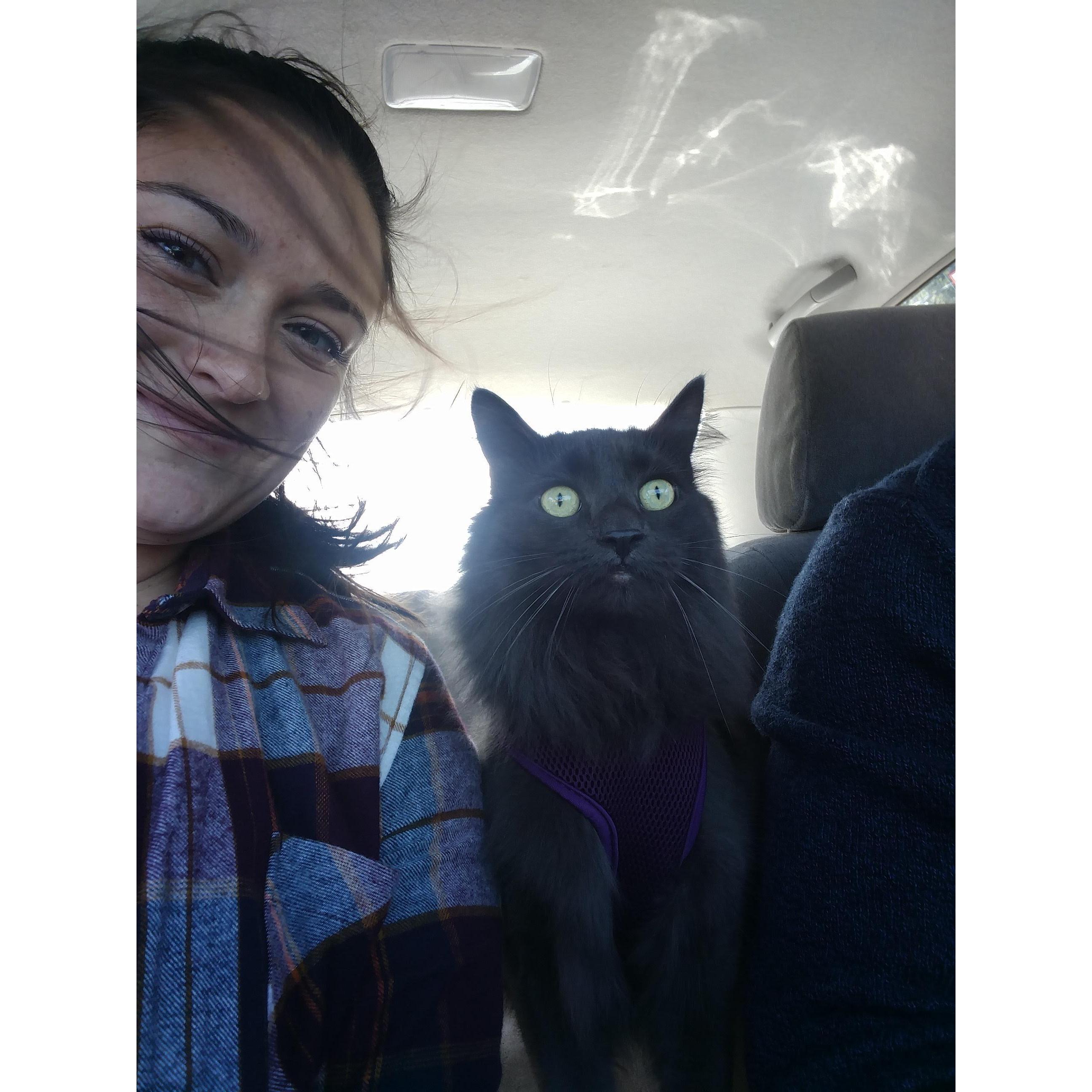 Family car rides are always fun and exciting when you're floofy!
