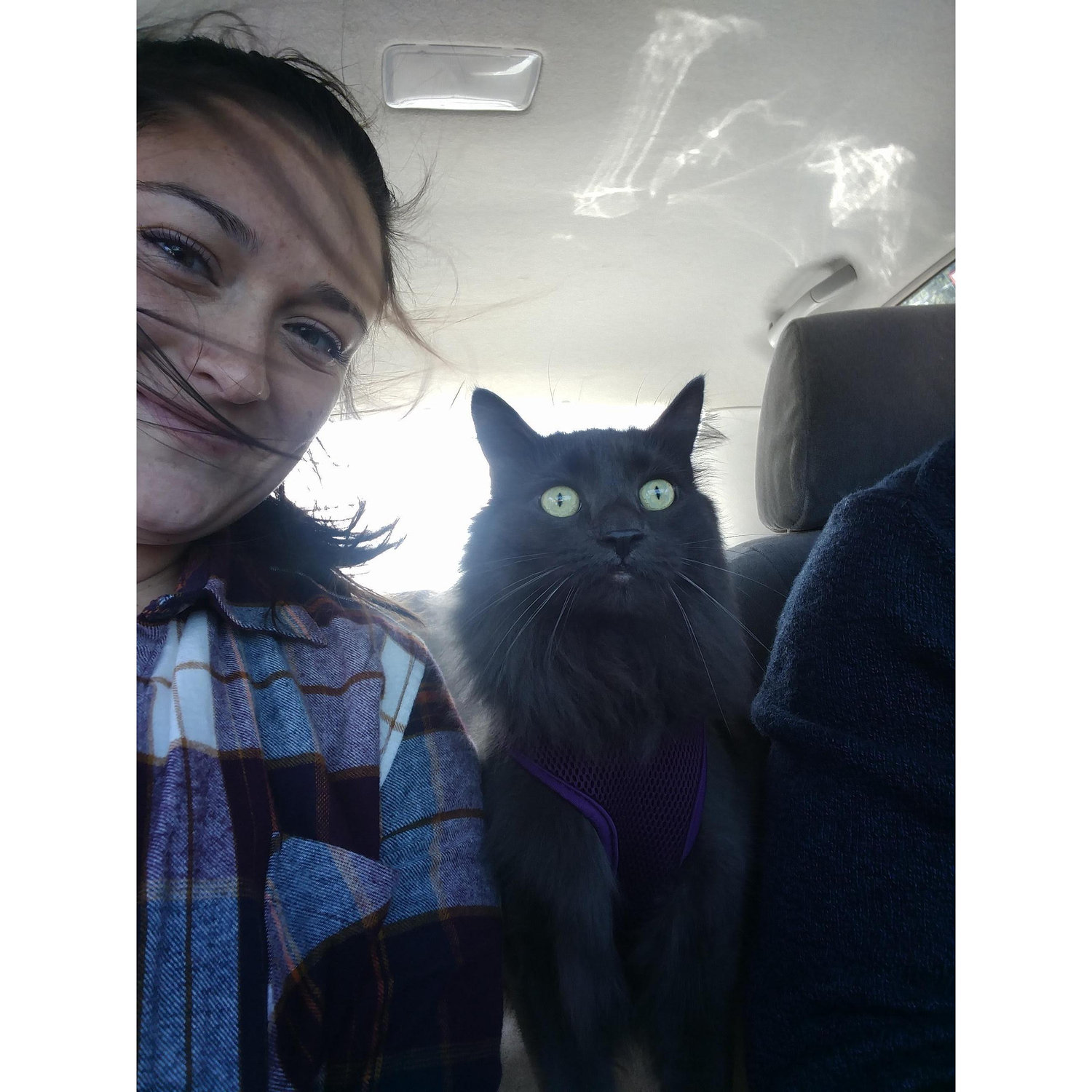 Family car rides are always fun and exciting when you're floofy!
