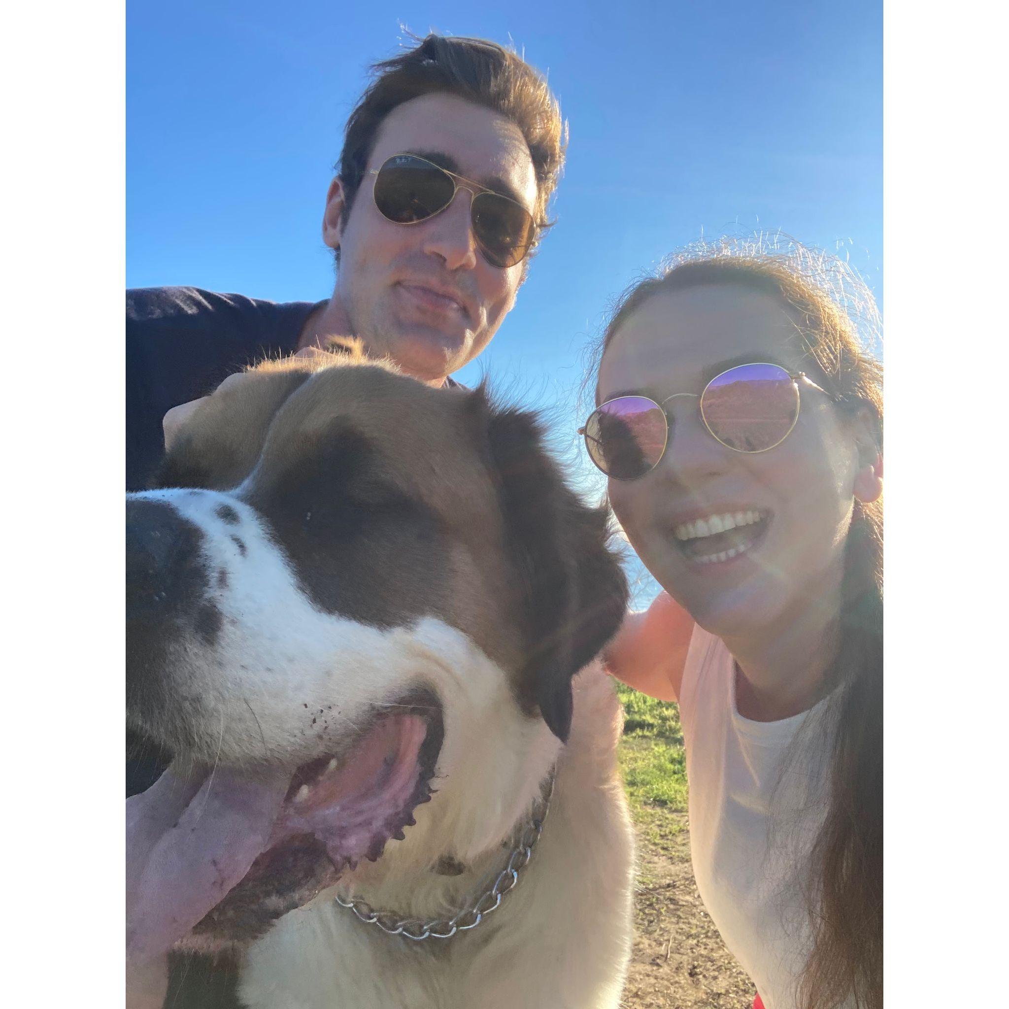 Our favourite weekends are spent hiking with Gus