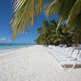 Saona Island