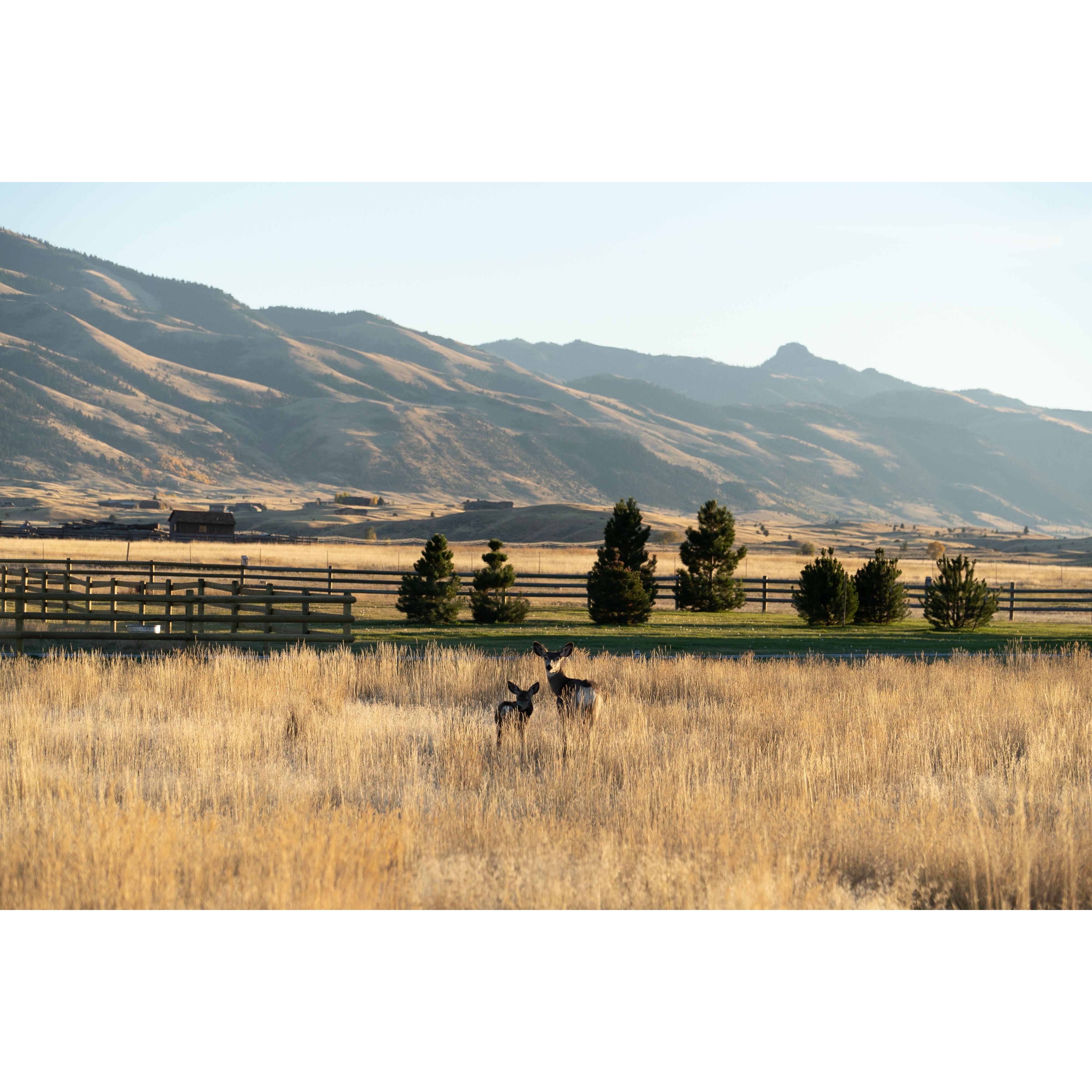Our favorite spot in Paradise Valley