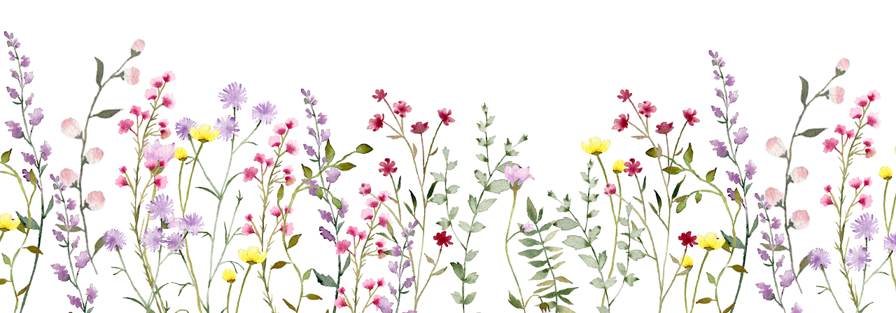 9ede004d-0e5e-4b59-9fa4-f31702232401