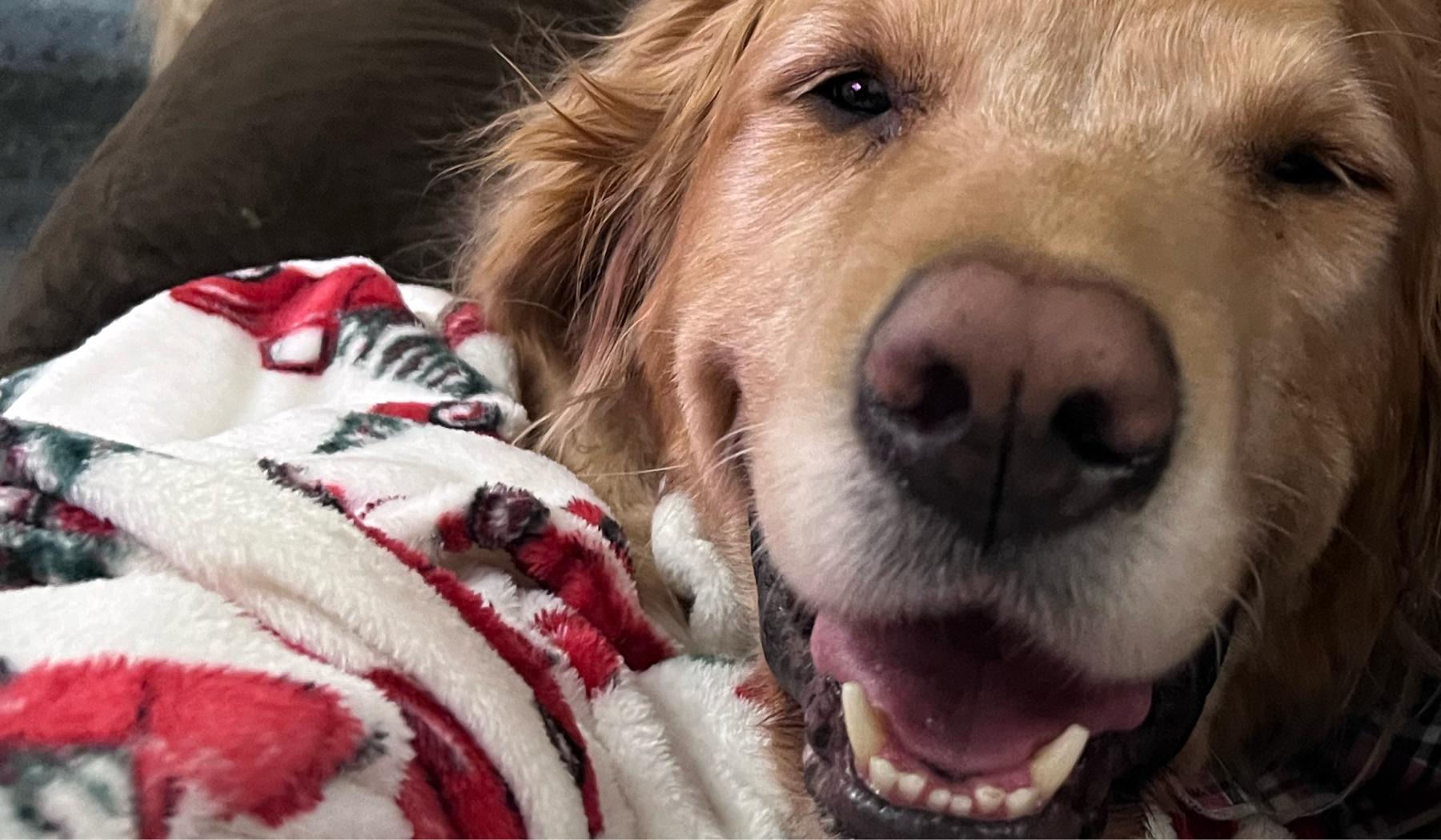 The Wedding Website of Eva Holapa and DJ Griffin