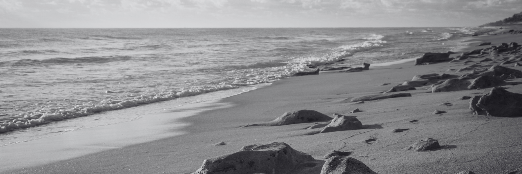 The Wedding Website of Collin Tacy and Katharine Clayton