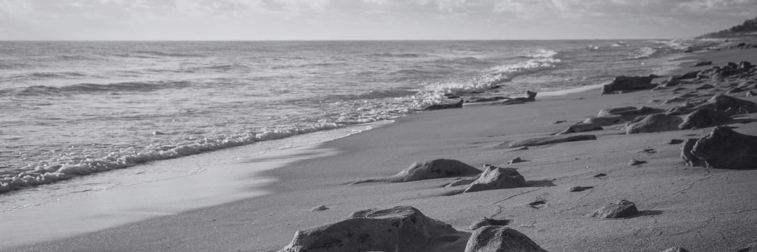 The Wedding Website of Collin Tacy and Katharine Clayton