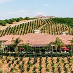 Masia de la Vinya Winery
