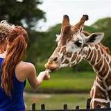 Miami Zoo