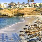 la Jolla Shores Beach