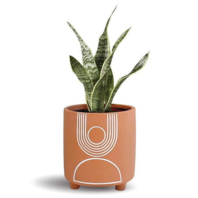 Carlton Lane Sorrento Clay Pot – Terracotta Look - Terra Cotta Planters - Unique Succulent Pot – Decorative Small Pots - Home, Office, Indoor – Drainage Hole – Footed Leg – Boho Modern Chic – 6 Inch