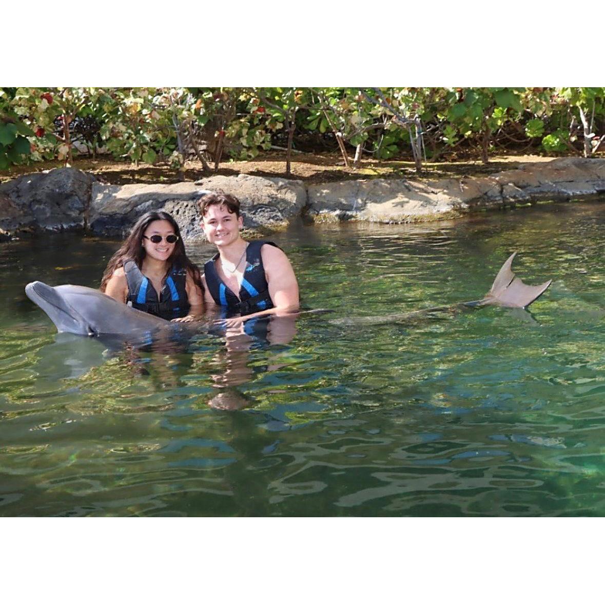 February 2025, swimming with dolphins in Hawaii