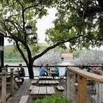 Mozart's Coffee Roasters