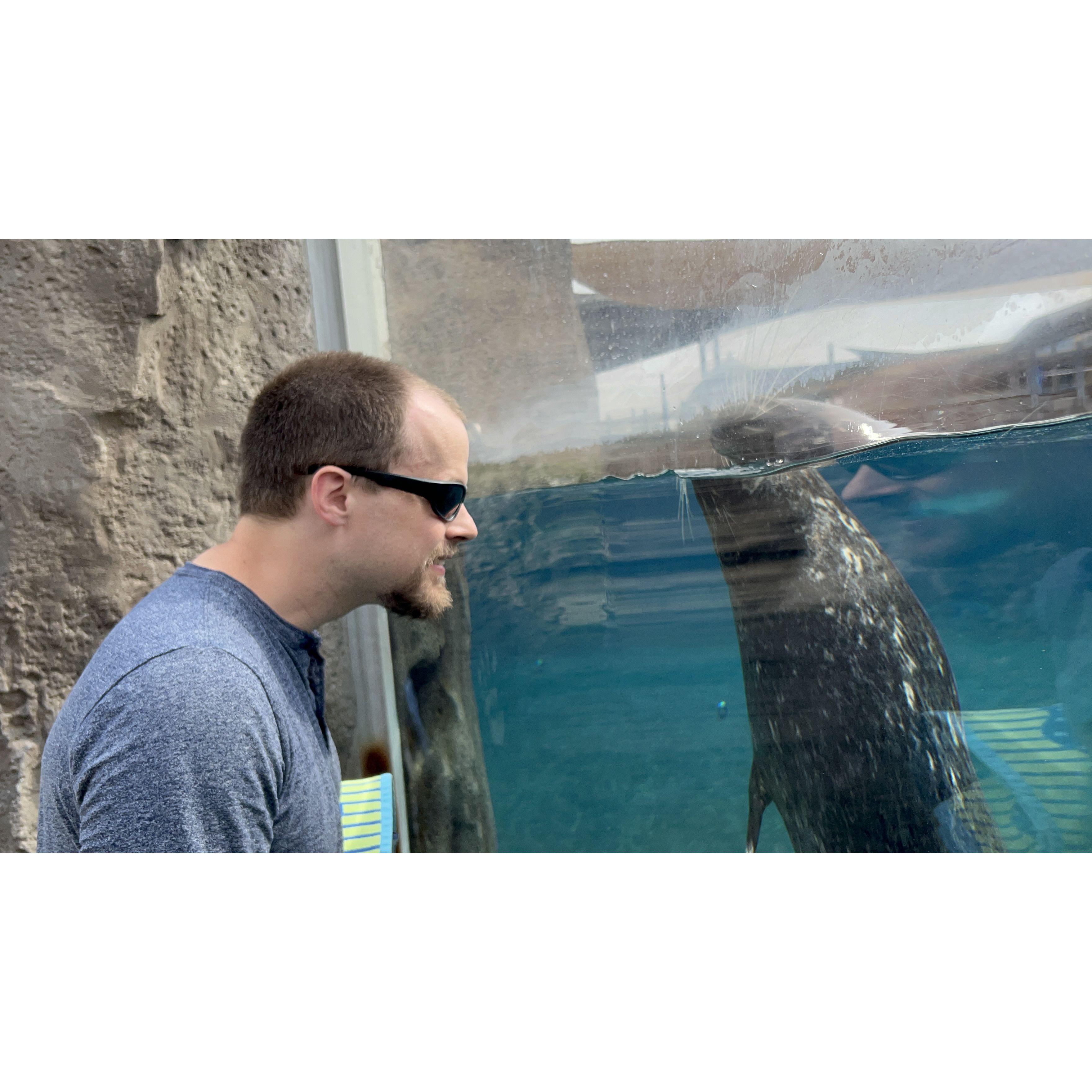 Matt having a conversation with a seal at the Columbus Zoo