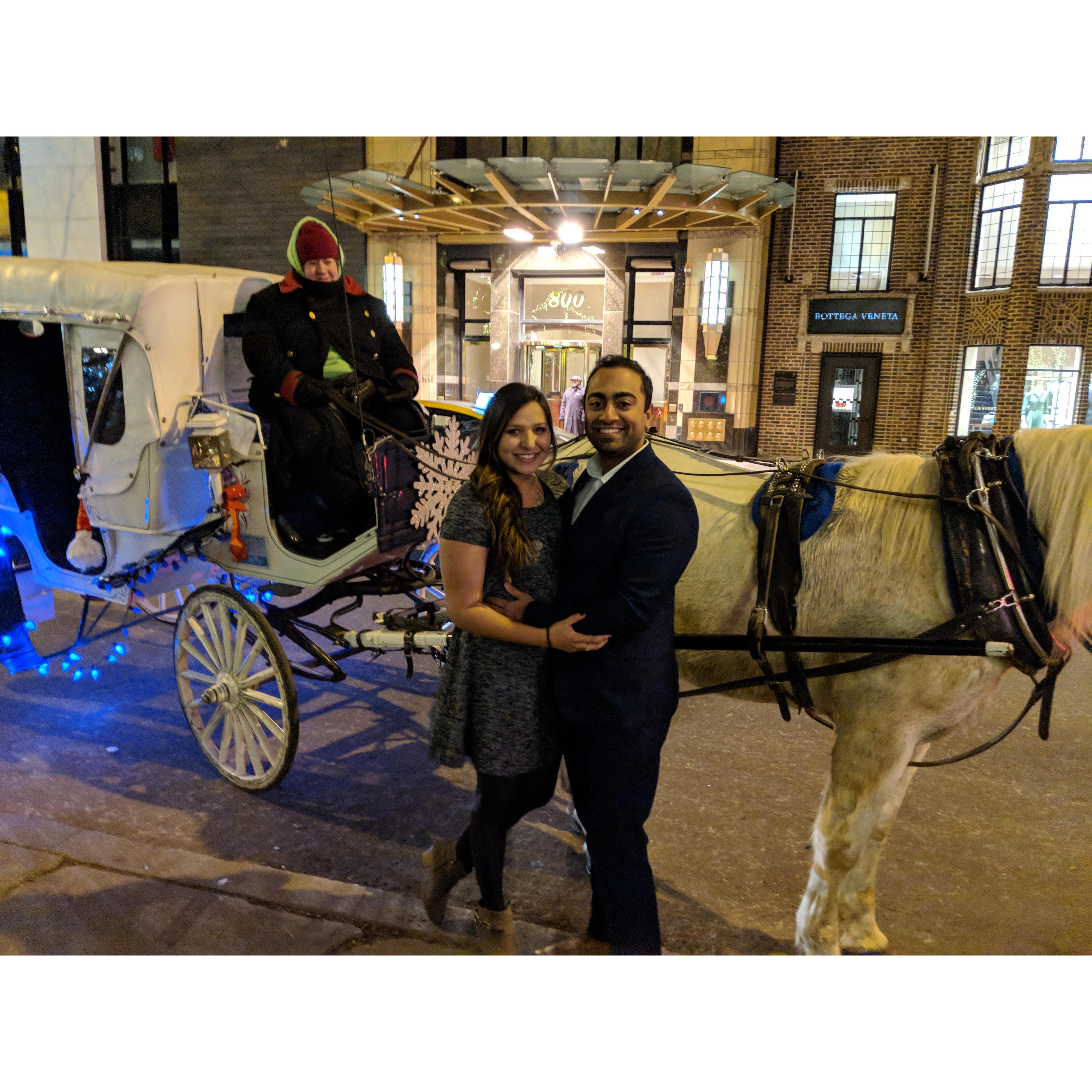 Horse Carriage Ride (Dream come true for Dhara), 2017