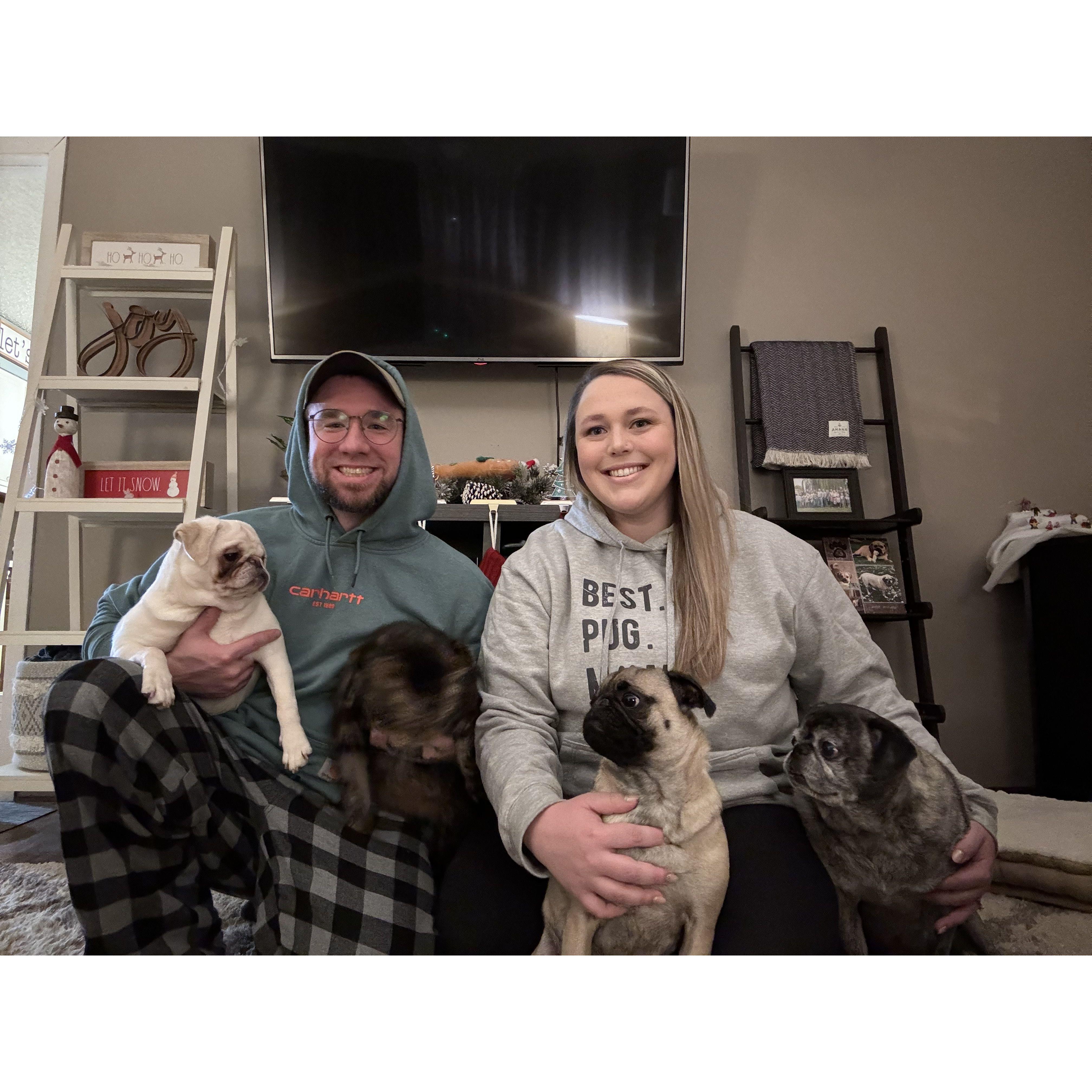 This is what you get when you try to take an early morning Christmas photo with 3 dogs and a cat