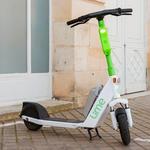 Lime or Bird Scooters