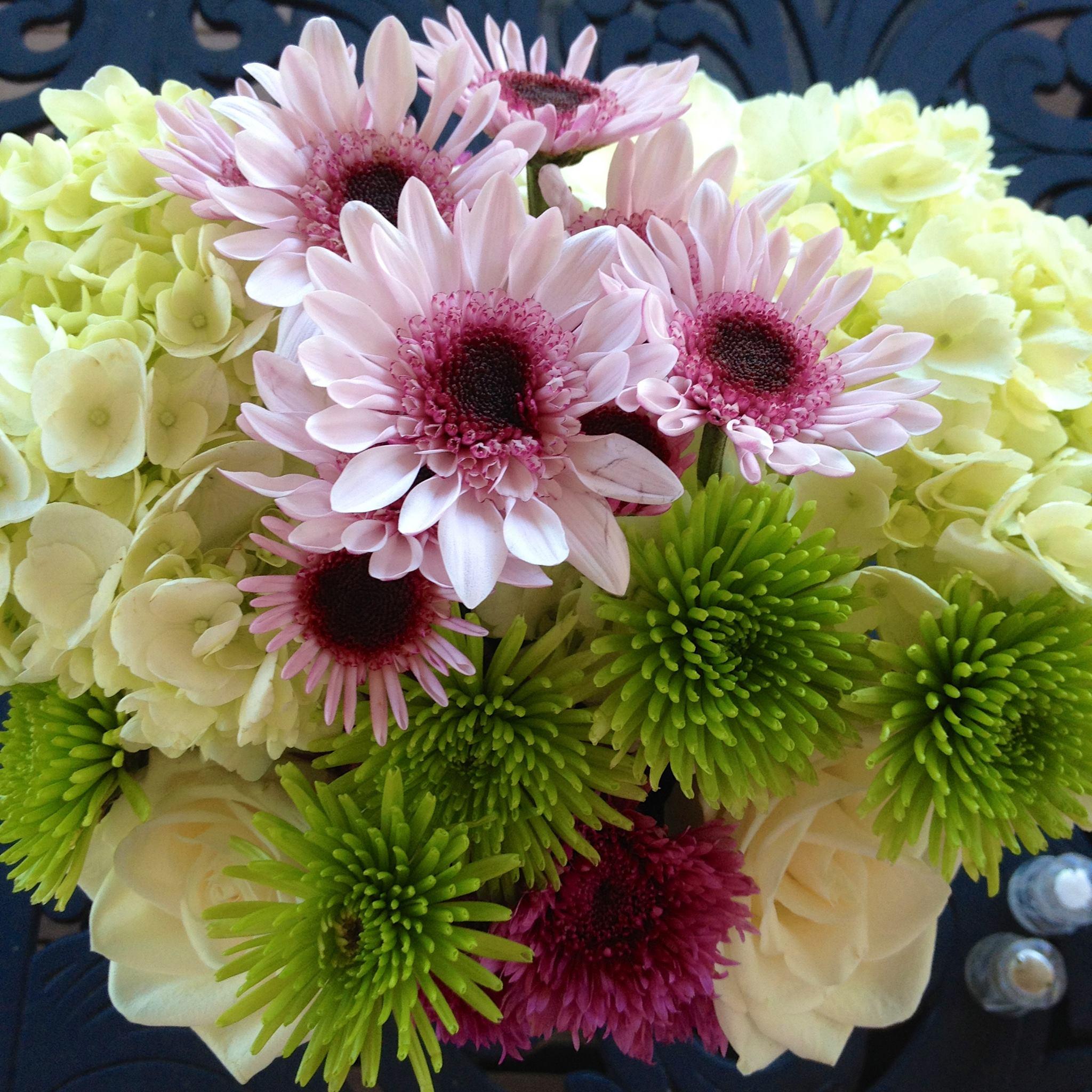 The Wedding Website of Abbey Wills and Alex Belakovskiy