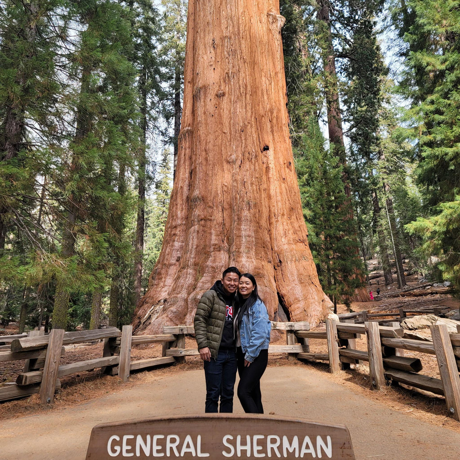 We made it to Sequoia National Park!