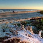 Galveston Island State Park