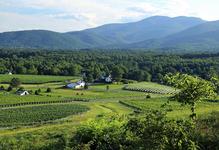 Veritas Vineyards and Winery
