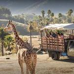 San Diego Zoo