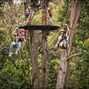 Zipline Tour!