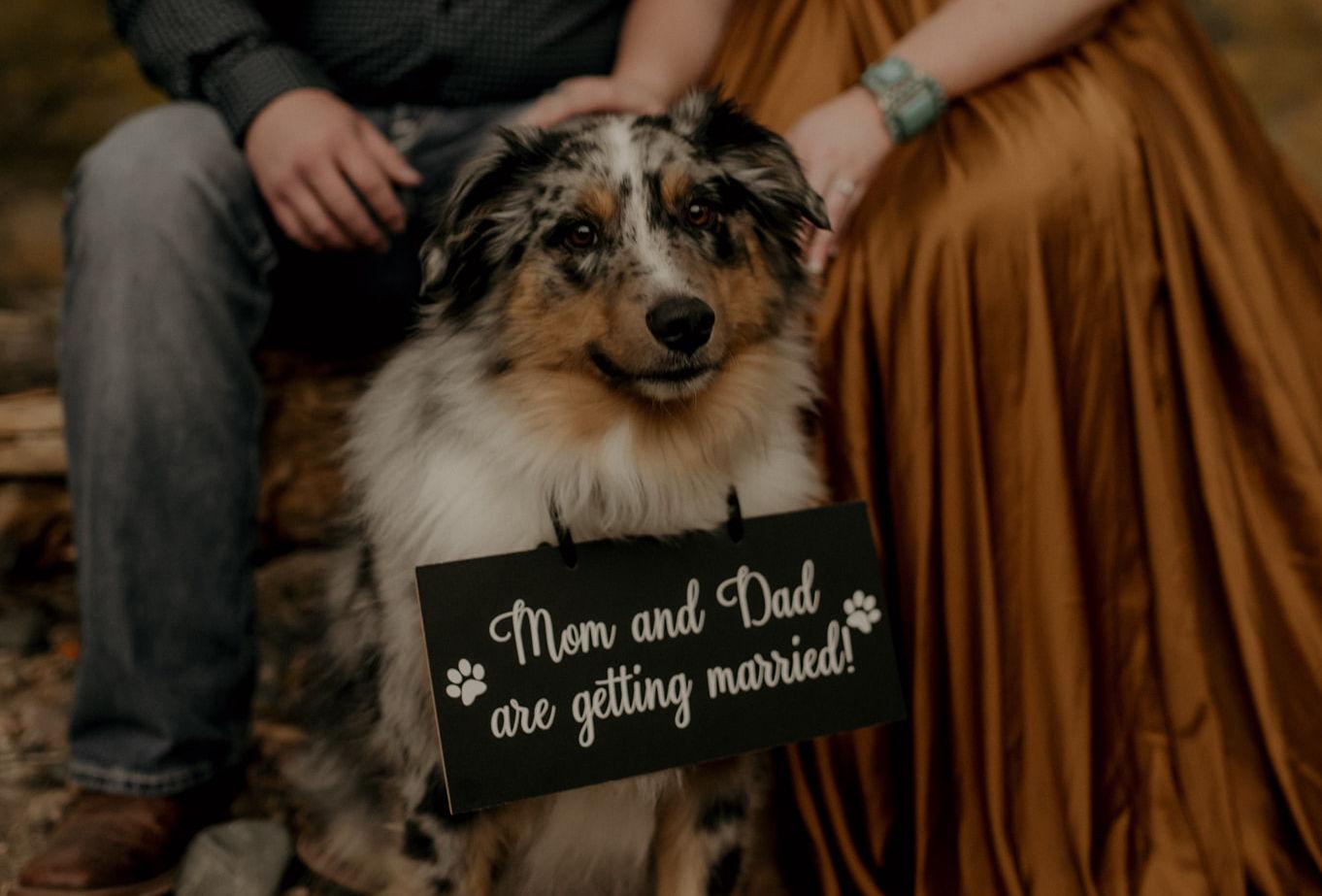 The Wedding Website of Taylor Laird and Carter Burton