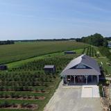 Blue Barn Berry Farm