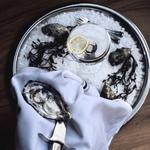 Oyster Loft