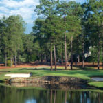 Hit the Links