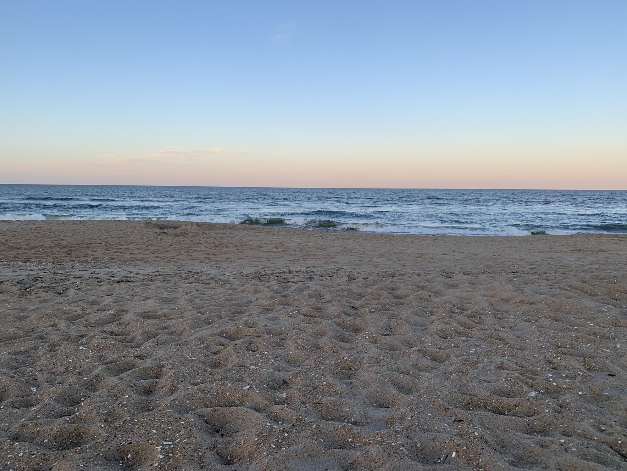 The Wedding Website of Miranda Armstead and Ryan Michaels