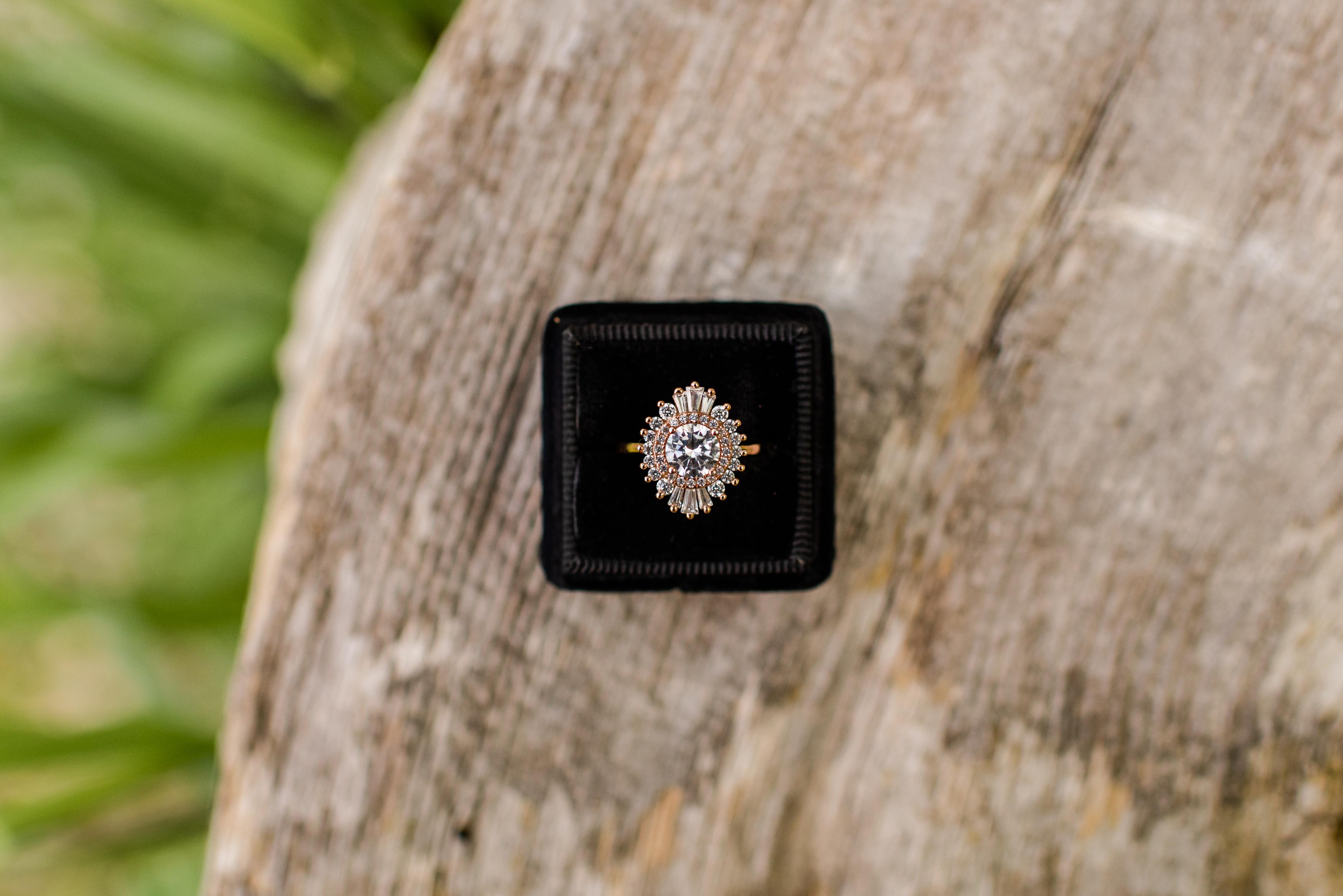 The Wedding Website of Jordyn Tiger and Jake Weaver