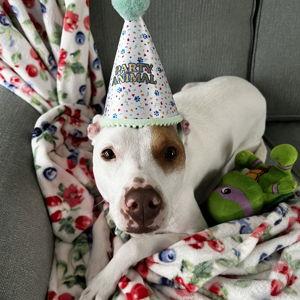 Layla's Vacation Fund/Fundo de ferias da Layla