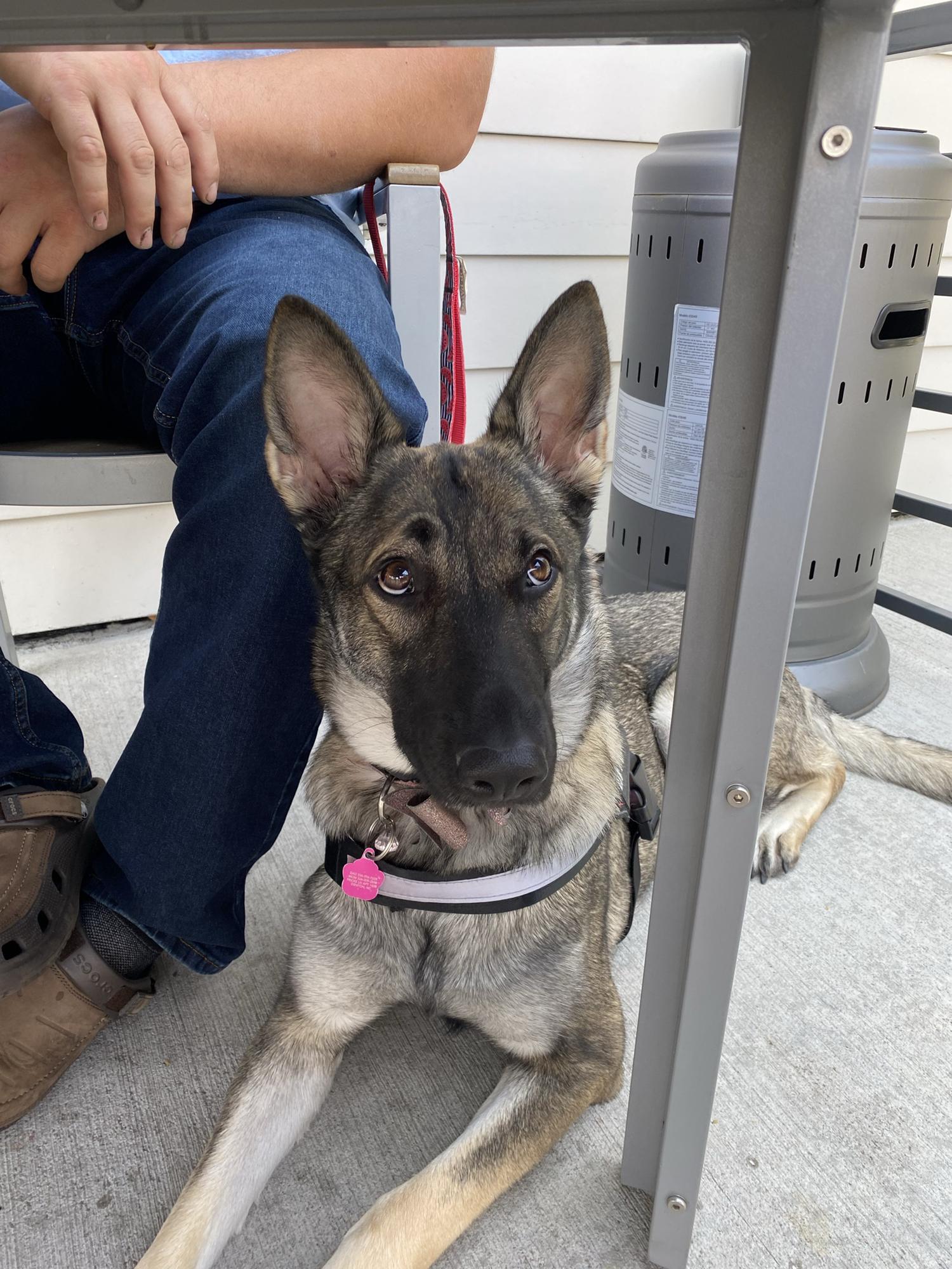 Our favorite girl