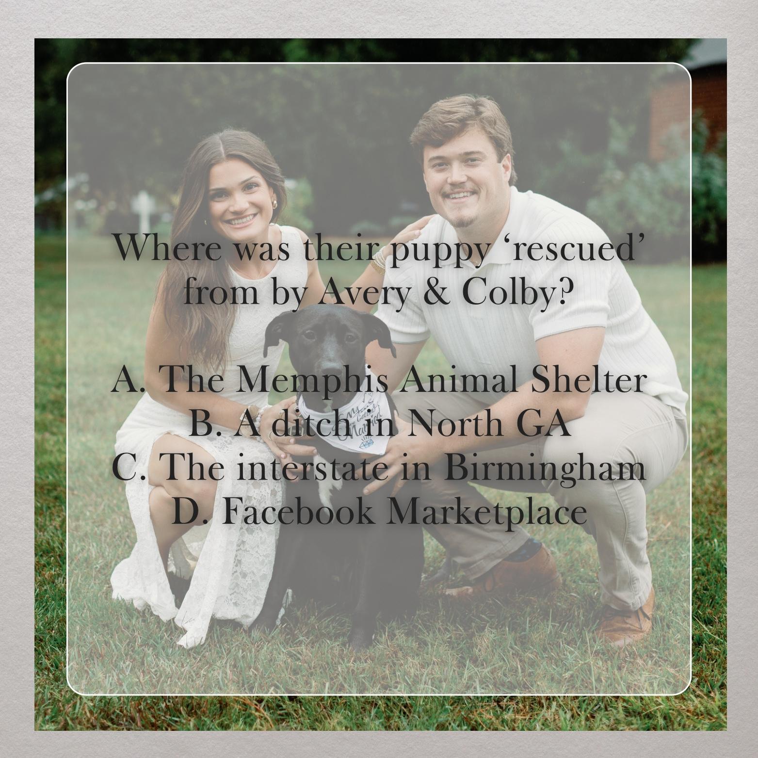 Answer = C!
On the side of the road in Alabama… hence his name- Bama🐾